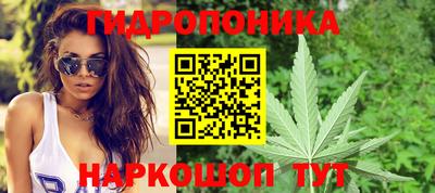 PSILOCYBIN Кандалакша