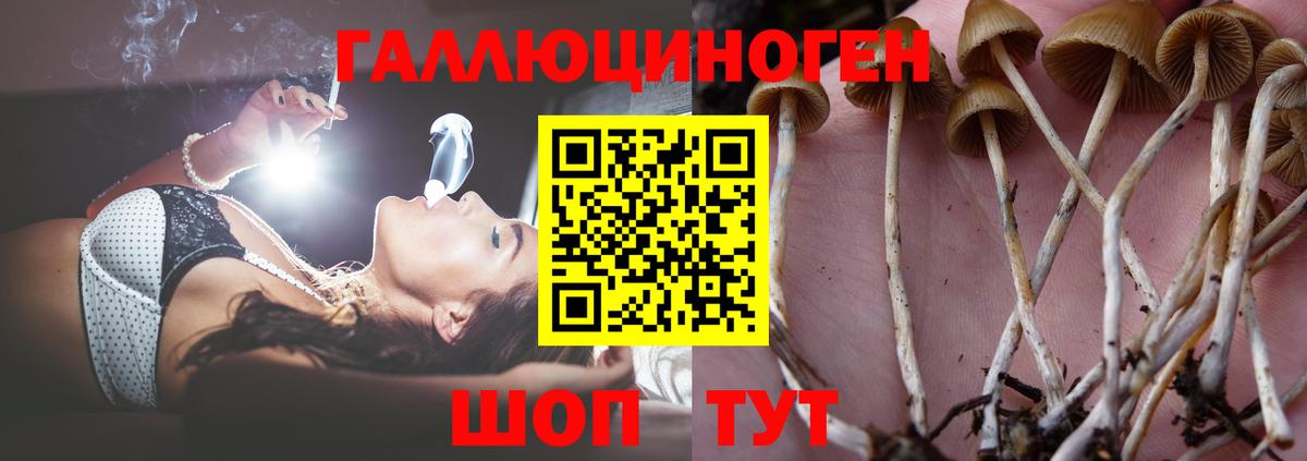 Жигулёвск  Галлюциногенные грибы GOLDEN TEACHER  Вход с VPN 